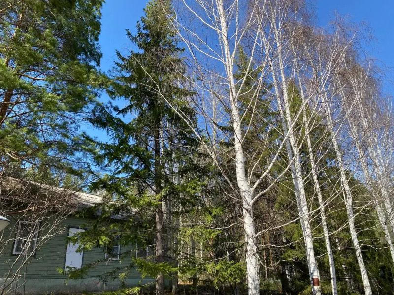 База отдыха Экопарк Бобры