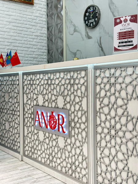 Отель Anor