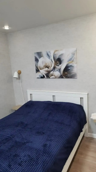 Апартаменты Василечек