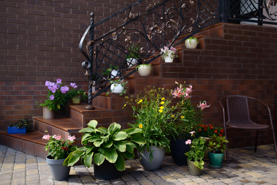 Отель Полина