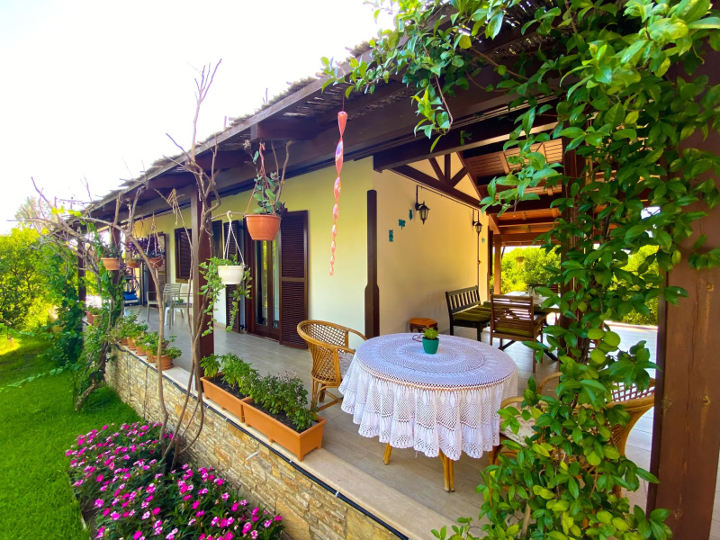 Mandarin Guesthouse - Adult Only