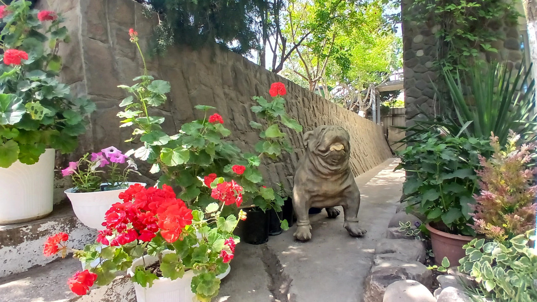 Гостевой дом РАЙ.com