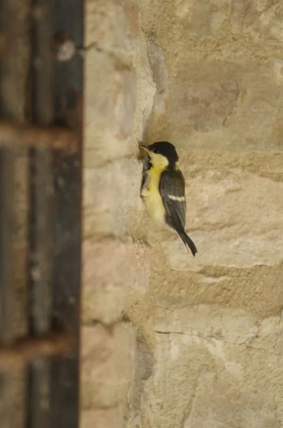 San Faustino Resort Hotel