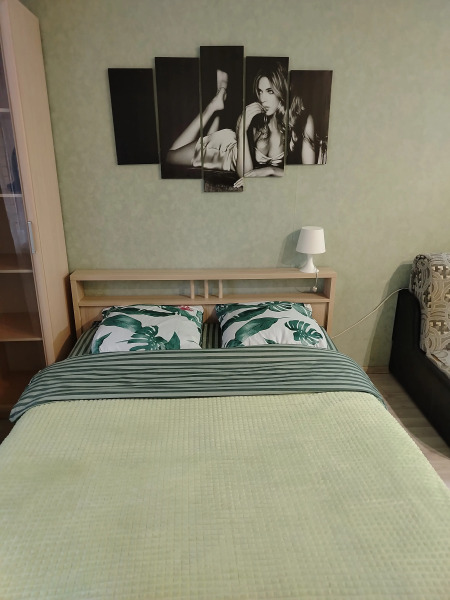 Квартира Студия в Ногинске