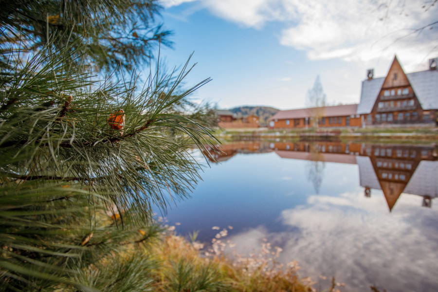 База отдыха Озерки