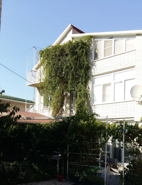 Гостевой Дом На Цветочной