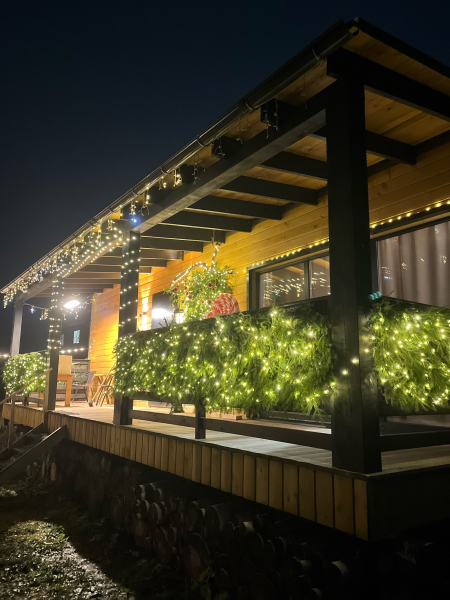 Частный дом Zaгородом