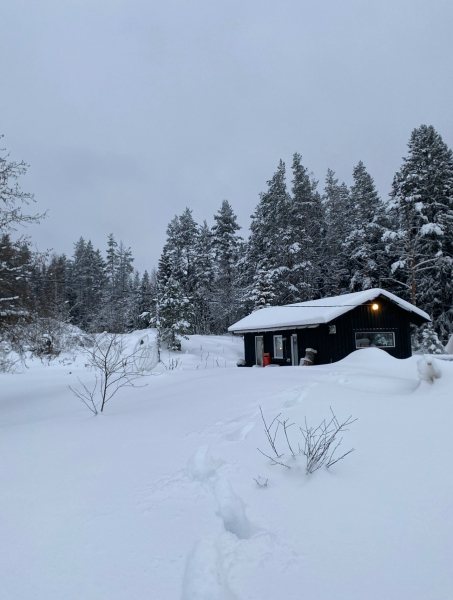 Частный дом Дом на финском хуторе Ханканмяки