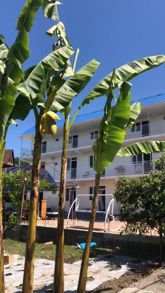 Гостевой Дом Райский Уголок