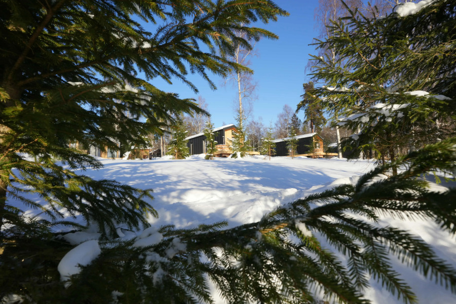 База отдыха Комплекс апартаментов ЭкоPort на Отрадном