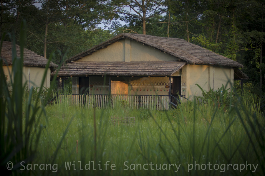 Отель Sarang Wildlife Sanctuary