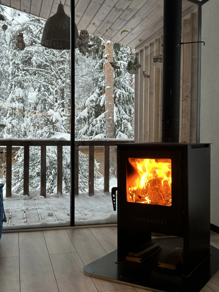 Частный дом у озера с террасой Сосновый дом