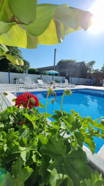 Гостевой Дом Алиса, привет