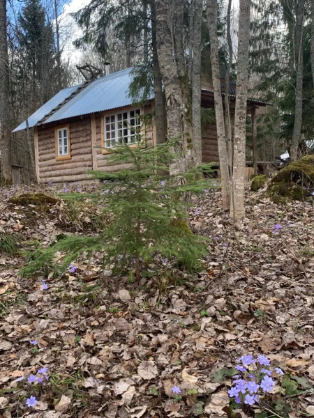 Бунгало Изба Рыбака Хутор Каменюк