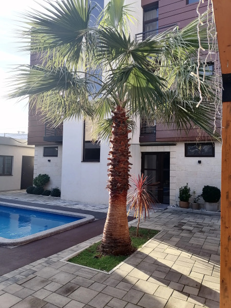 Апартаменты SubTropical Sochi