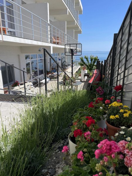 Гостевой дом Сиеста