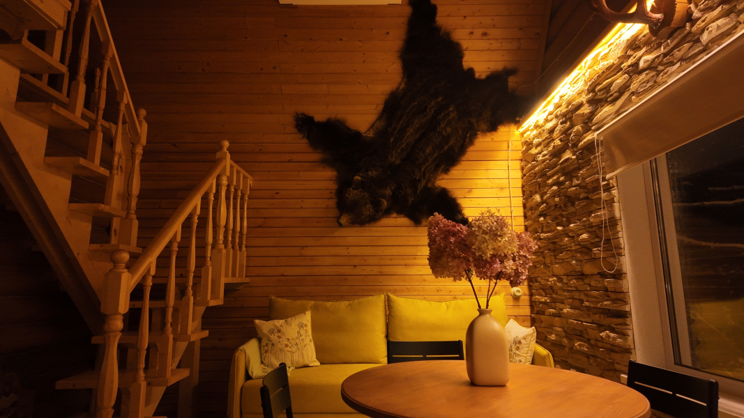 Гостевой дом Васнецовский домик