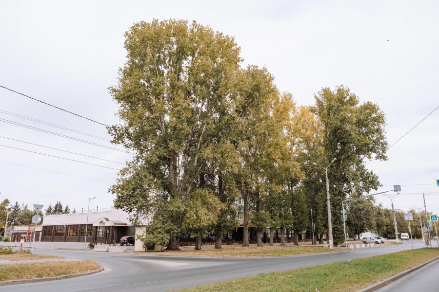 Отель Зодиак