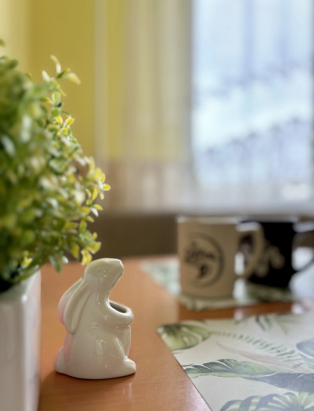 Квартира на Острове