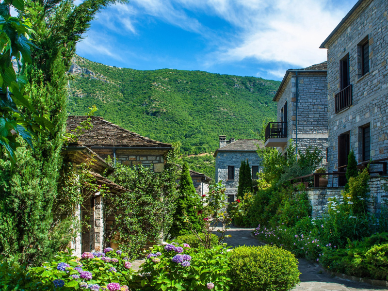 Отель Aristi Mountain Resort
