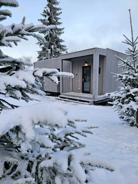 Коттедж Черничный Склон Silver House