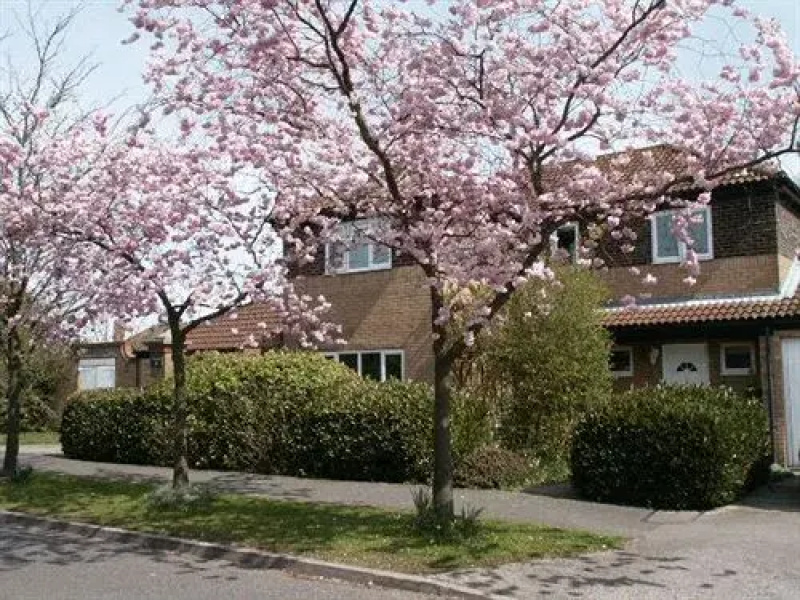 Number 68