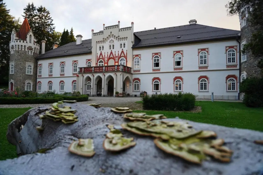 Chateau Třebešice