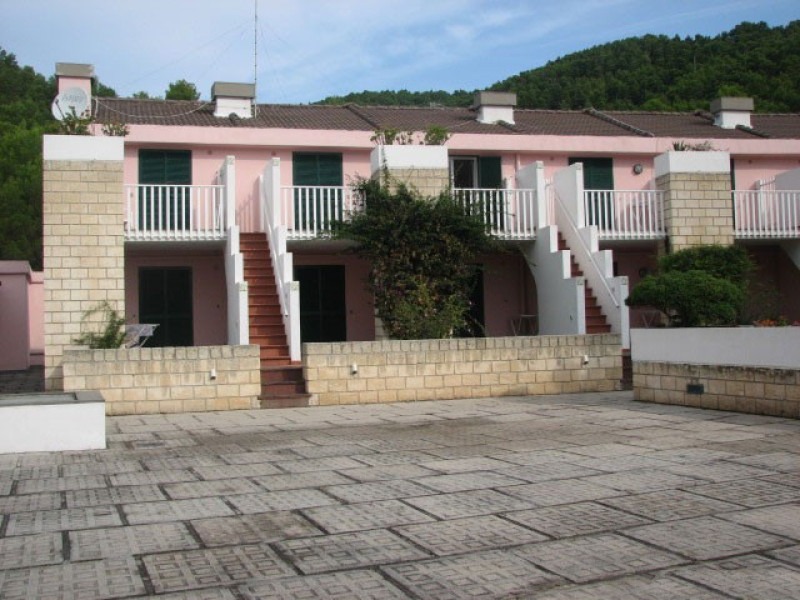 I Delfini di Pugnochiuso