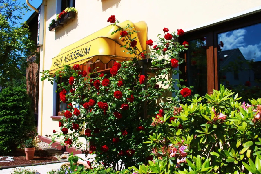 Haus Nussbaum