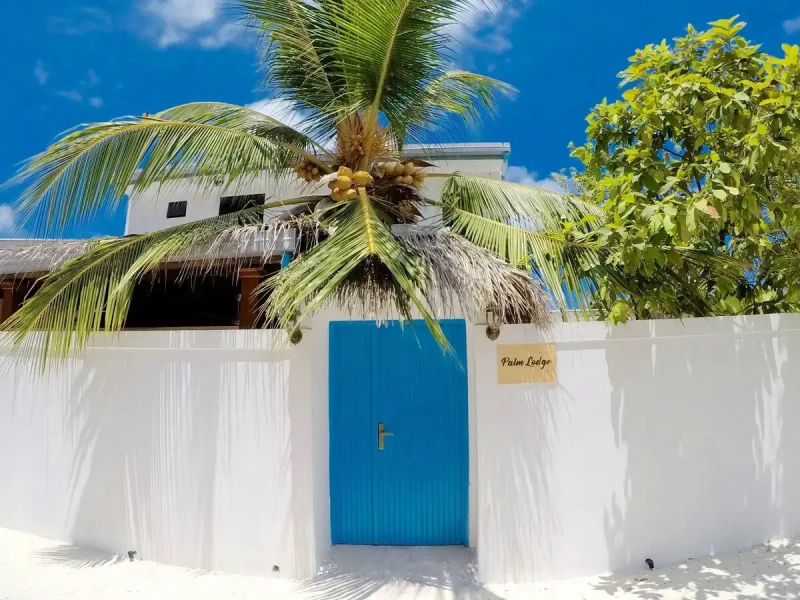 Гостевой дом Palm Lodge
