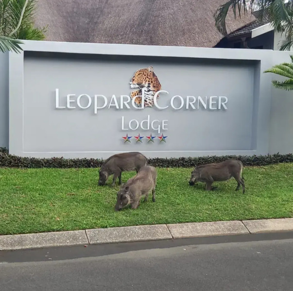 Leopard Corner Lodge