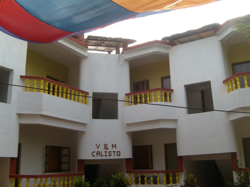 V&M Calisto