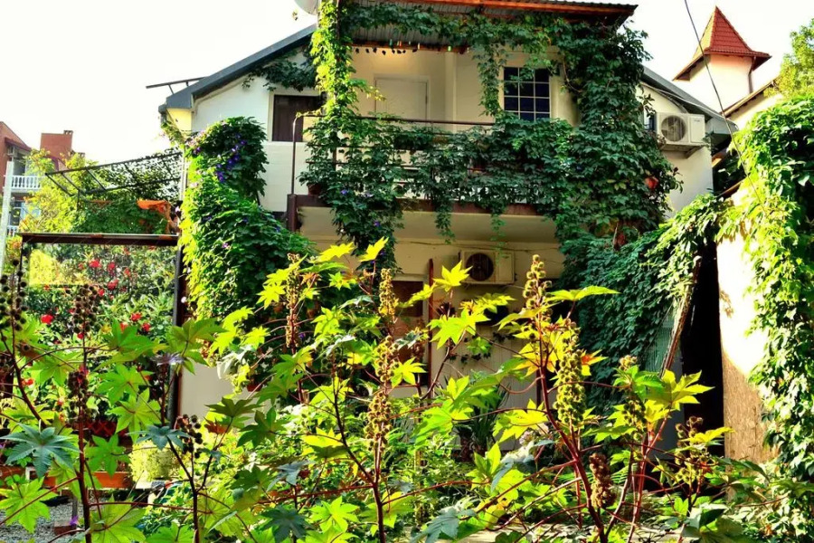 Domik U Plyazha Apartments