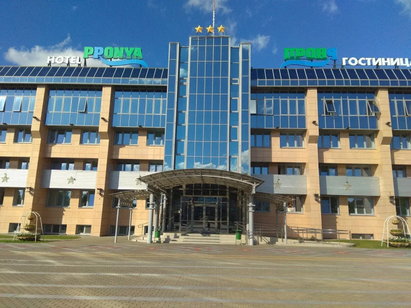 Отель Проня